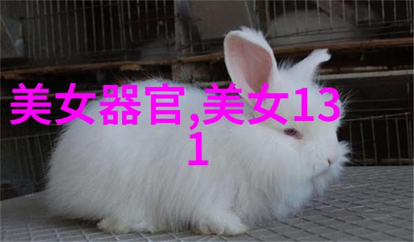 美女自拍研究镜头中的自我表达与社会文化意义探究