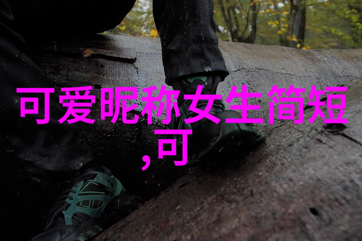 黄景瑜的镜头捕捉历史的瞬间