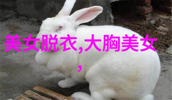 恐怖一瞬三万人心跳停止的鬼影