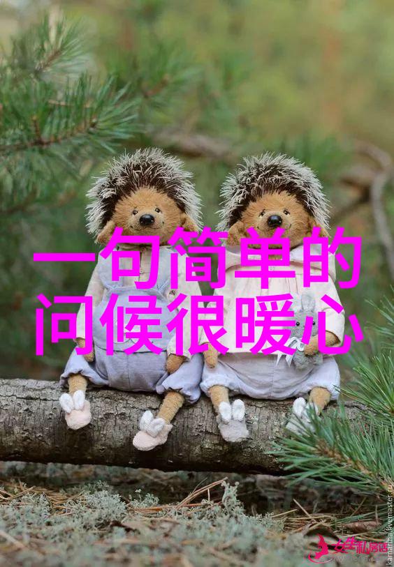 2023年卡通世界的可爱之光颜值满分的新朋友们