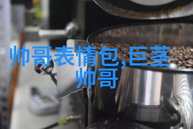 宠她揭秘女性与宠物之间的深厚情感