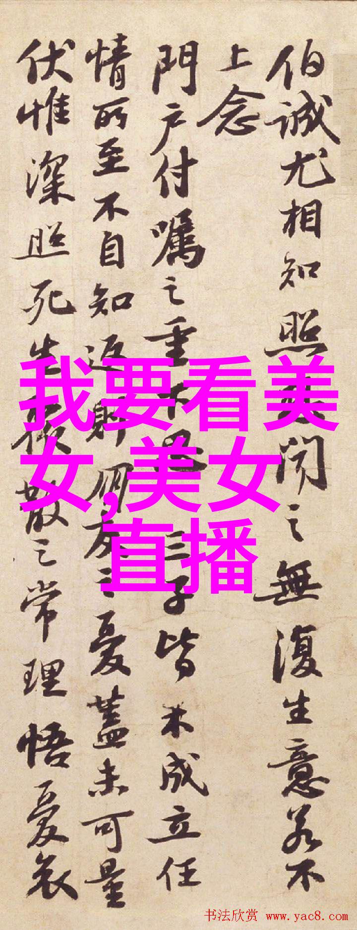 音符与字母的组合艺术创作一款超级可爱的网名指南
