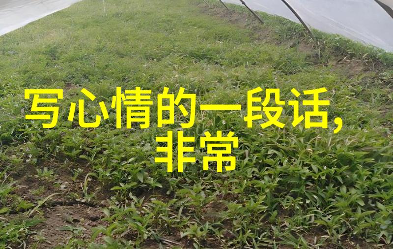 卡通风格男孩时尚的动漫人物形象