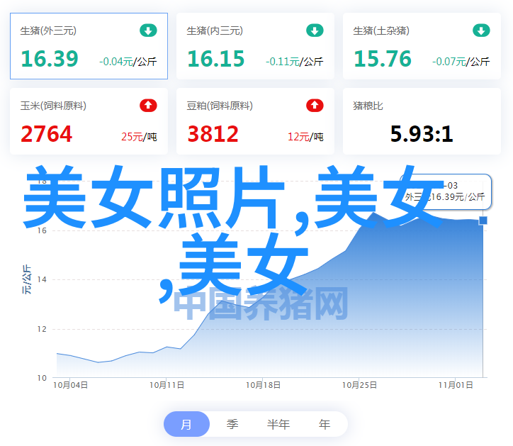 春日小可爱绚丽女生头像的艺术之美