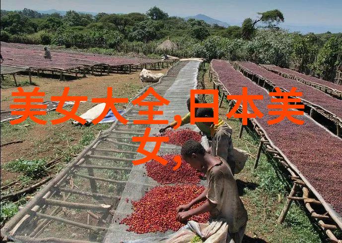 恐怖故事-深夜的影子揭秘那些让人胆战心惊的恐怖吓人的图片