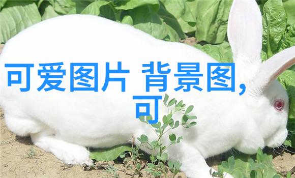 帅哥图我的心尖上的那一抹色彩