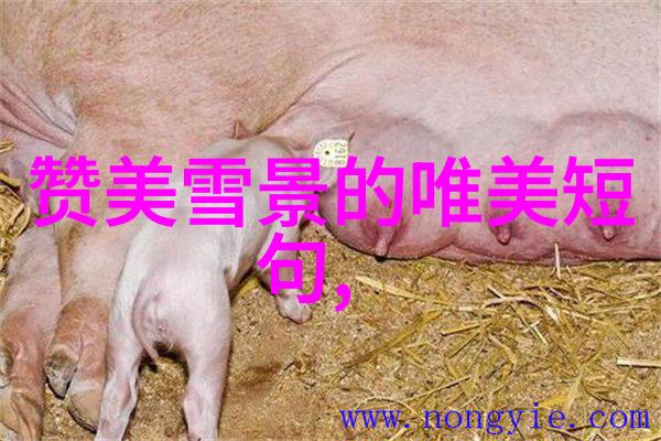 早晨温暖的语句