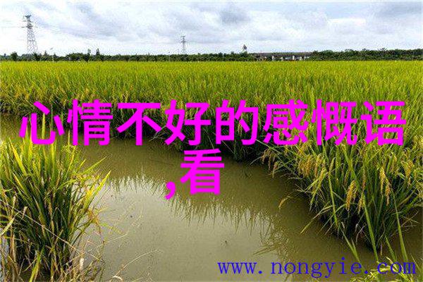 QQ群聊入群指南QQ如何快速加入新群