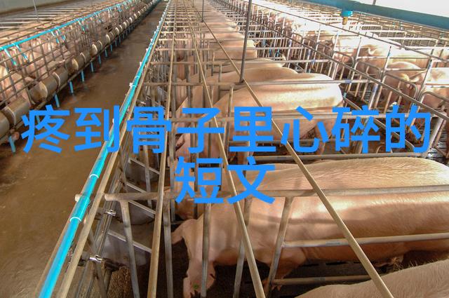 情感共鸣电视剧里的美好回忆上瘾CP让人怀念许魏洲的新生活也值得祝福