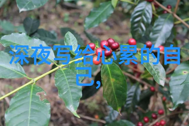 情已逝繁体字男生网名象征着越来越好的故事