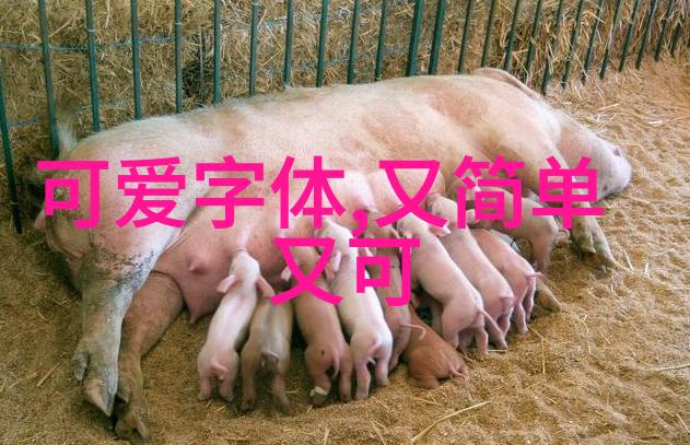 春天在傣族文化中是否特别值得庆祝
