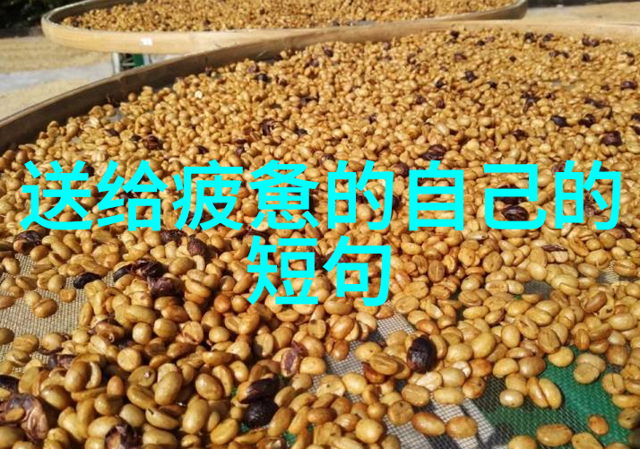 电脑开机出现英文字母开不了机 - 字母锁之谜如何解决无法启动的电脑问题