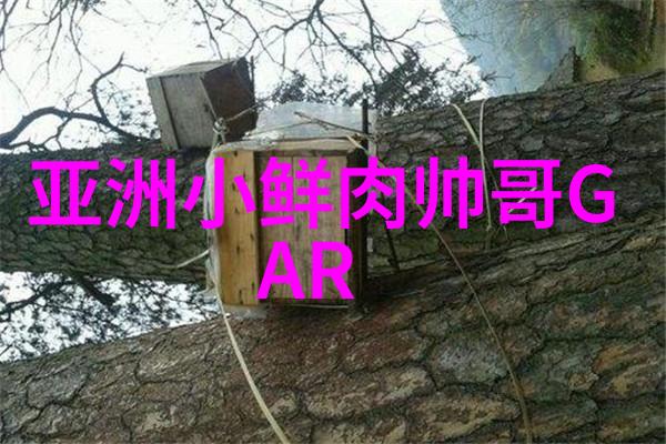 我来告诉你揭秘各地少数民族的节日有哪些