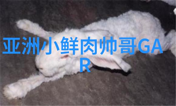 心灵的港湾如何通过文艺创作治愈心情