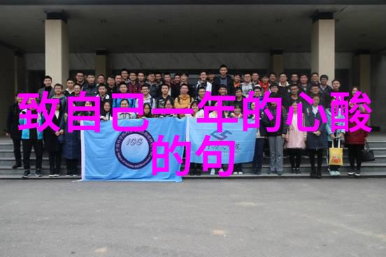 丁真赵丽颖和冯绍峰离婚背后的真相探究