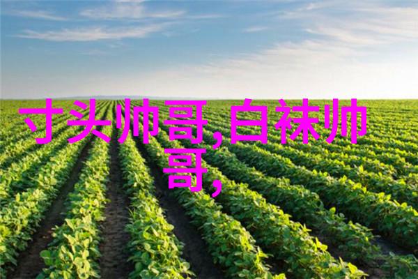 霸气十足的群名让你的社交圈子焕发独特魅力