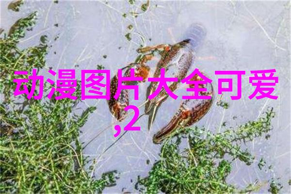 台湾人填写国籍陈浩民如同书写自己的命运