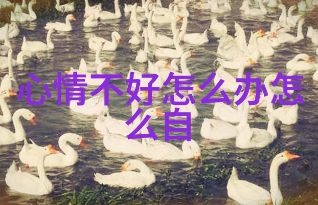 感谢一直有你陪伴企业发布网铭记每一次支持与鼓励