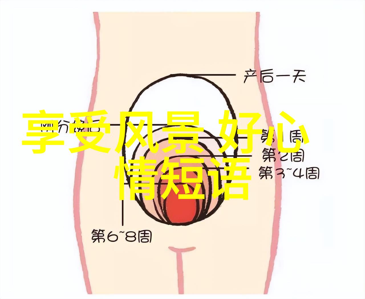 汉字演变的八个过程 - 从甲骨文到现代汉字一段古今交融的历程