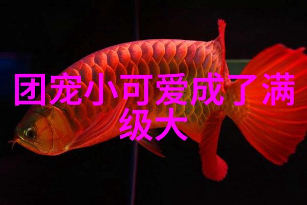 女生个性网名大全心留我一半愿风相伴