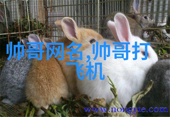 心情绘影抒写心情的诗意句子