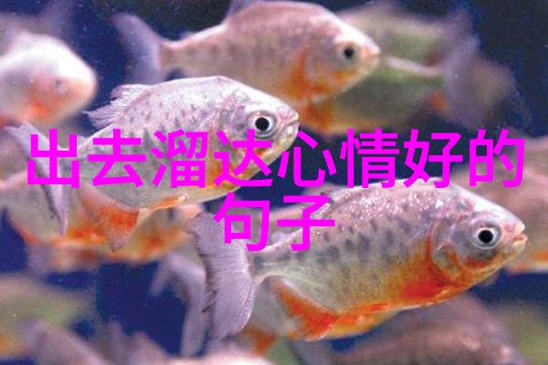 仙气清冷男子的物品网名文艺小清新惹人爱的女生名字