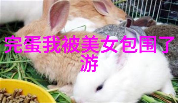 心意相连祝福简短唯美句子大全传递爱的脉动