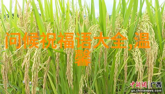 美女大全探索全球最美的女性形象