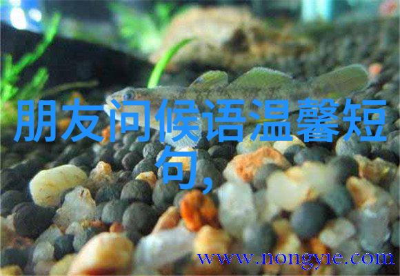 中国汉字大全10000个解开千年文字的秘密