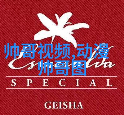 从零到英雄今天我决定成为明星的日子