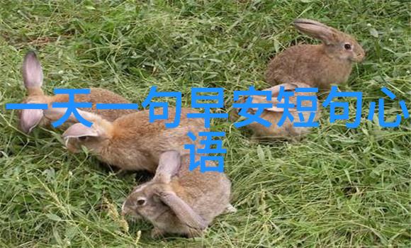 最伤感的网名伤感病女