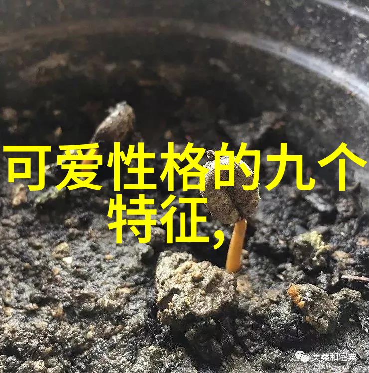 娱乐圈里的宠儿我的最爱明星分析