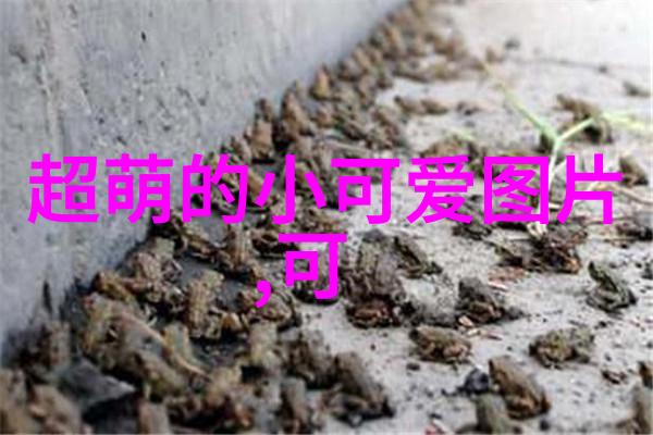 日本帅哥东方魅力的浪漫探秘