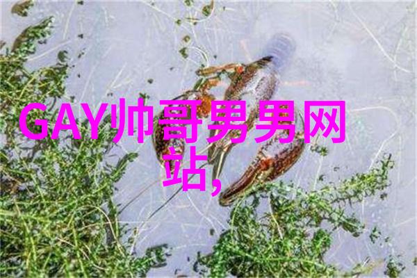 心痛的文字人的暖意在哪里