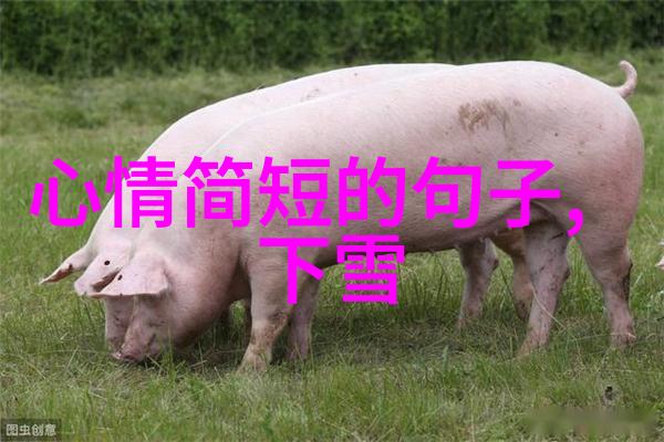心情烦躁时如何利用正念冥想放松自己
