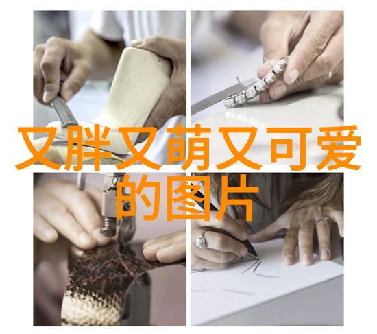 字典通行证免费文字识别软件扫码乐翻天