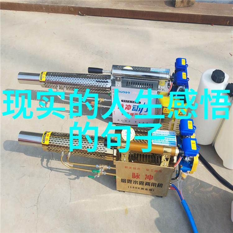 在这片充满魔法的森林里为什么小矮人总是以如此可爱的方式来制作他们的工具呢