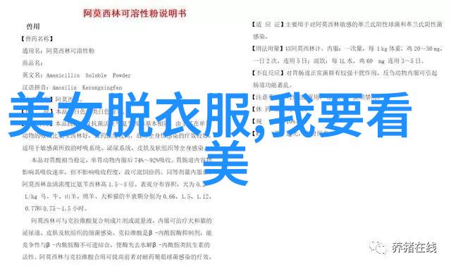 中元节的秘密揭开农历八月十五的神秘面纱