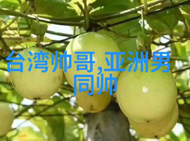 从内向外的转变一位大BBBBBB女性如何改变自己的生活