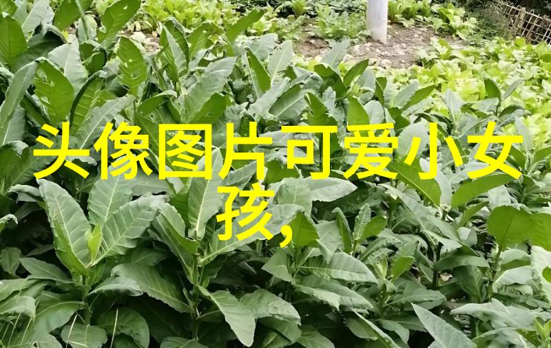 每日一句早晨的祝福语带给你无限活力