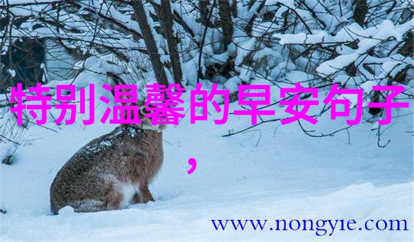 早晨启航的金句精选每日早起激励语录