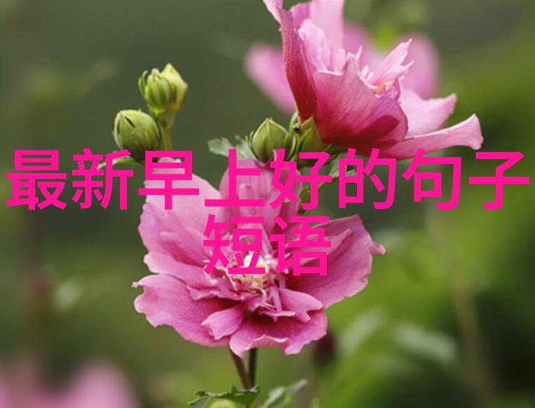 林允儿生日助力2手手机让终止保护儿童自立