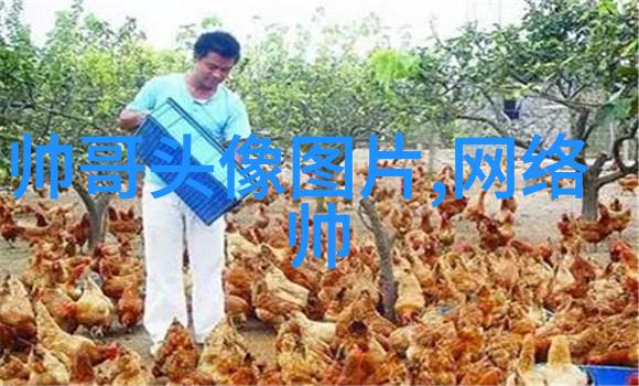 有哪些香港女子以其才华和努力成就了跨国影视事业