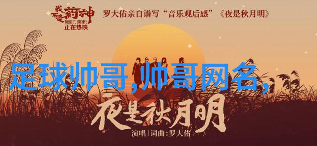 街球梦之夜光芒闪耀的派对盛宴