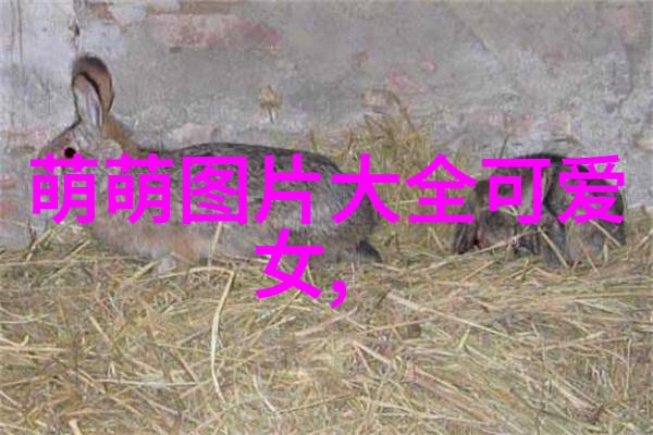 奇迹探索-人类首次拍到魔鬼揭秘传说中的影像