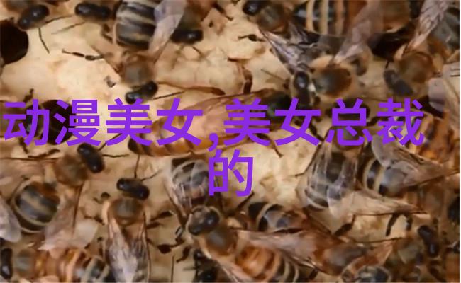 在不同文化中卡通人物女生的特点有何差异