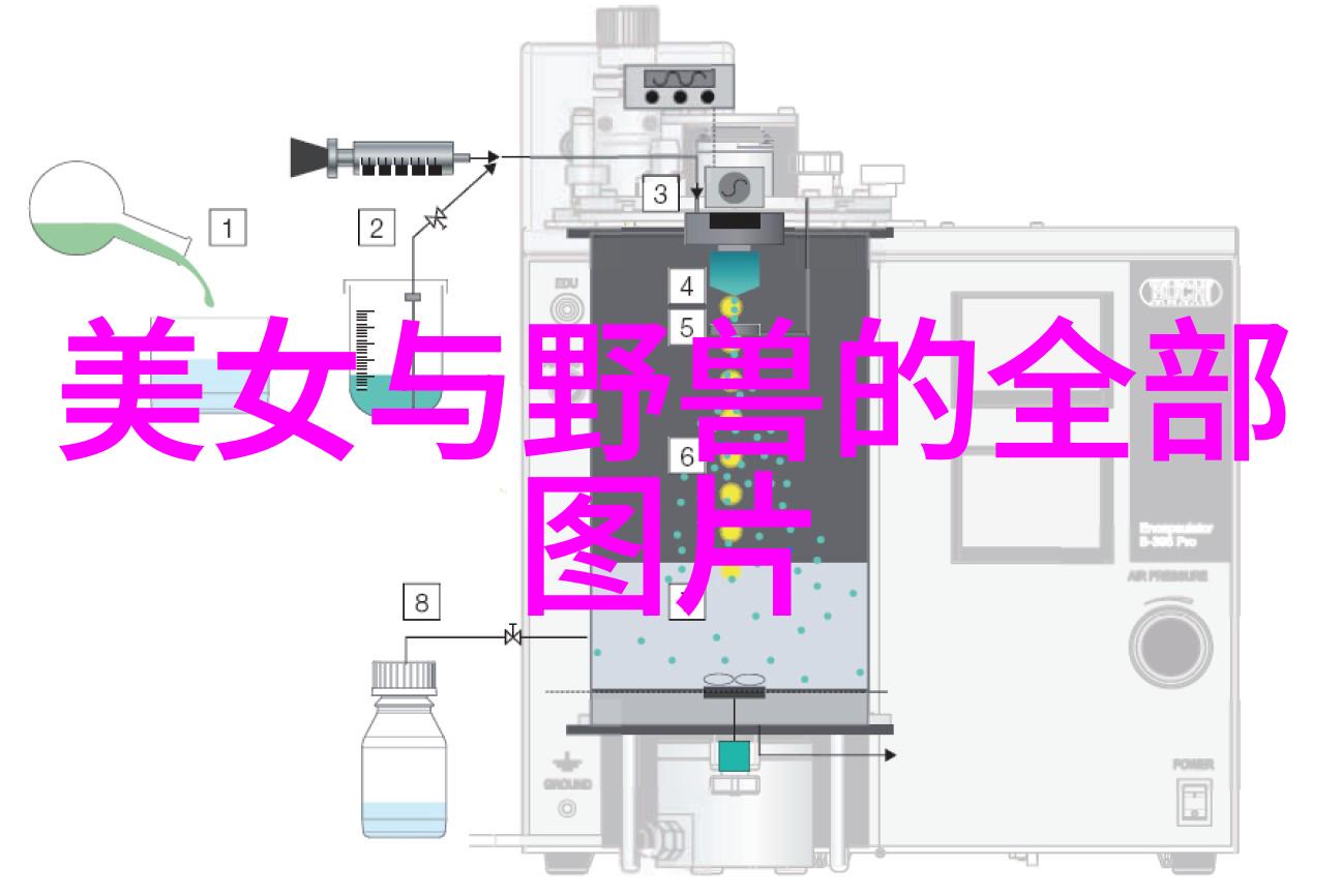 早晨问候语情话短句-晨曦中的甜言蜜语如何用一句问候点亮伴侣的心