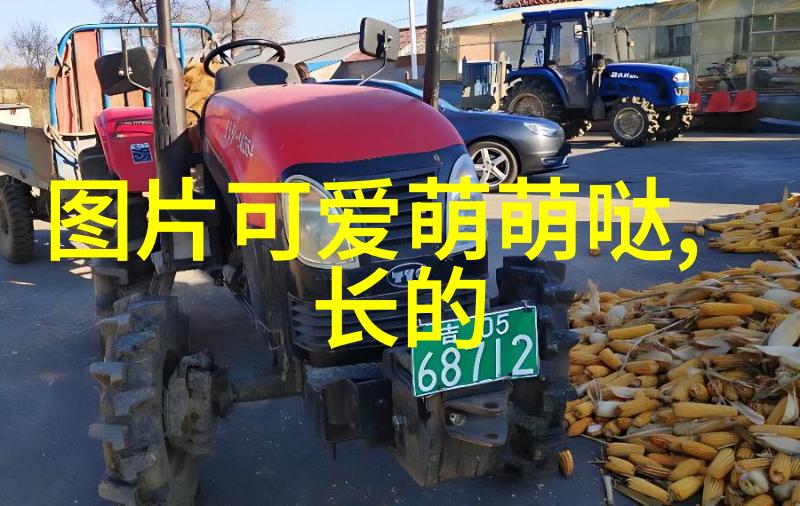 星汉灿烂电视剧免费观看完整版娶娇娃的爱恋妩媚如画的成长