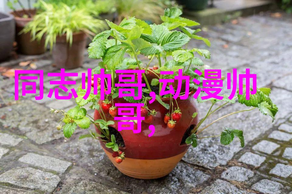 LPL全明星阵容能否打破国际比赛的壁垒