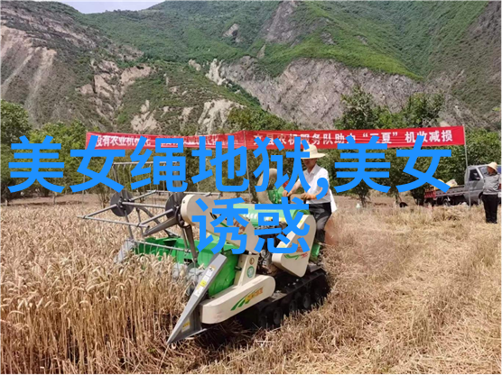 情感深度-在镜子面前看我是怎么爱你的心灵的倒影与真挚之情
